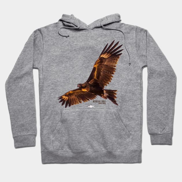 Wedgetail Eagle_03C Hoodie by seadogprints